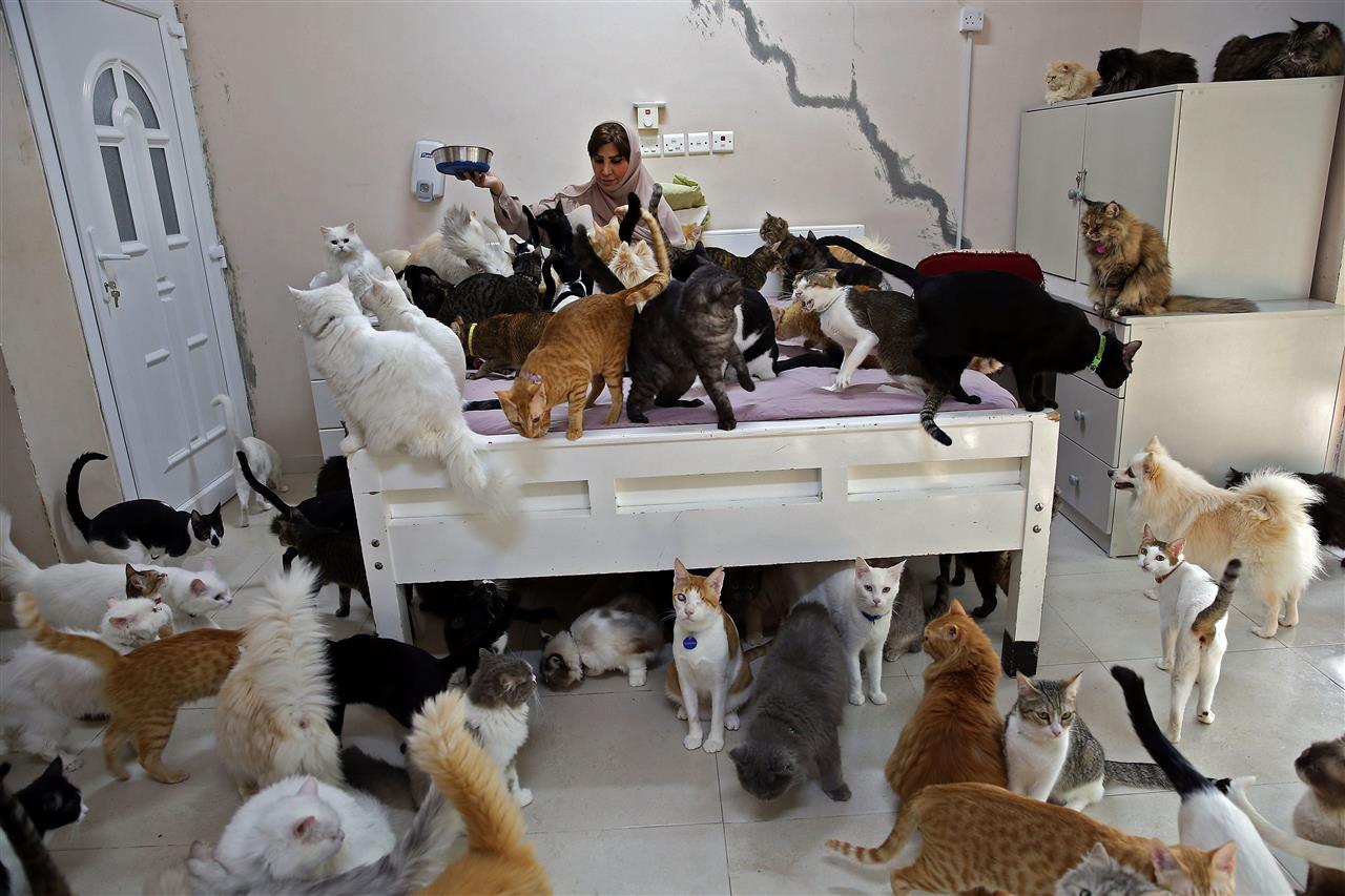 عمانية تحو ل بيتها في مسقط ملجأ لمئات الحيوانات المنزلية