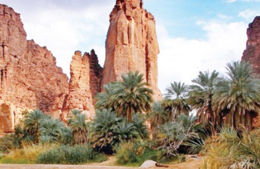 وادي الديسة