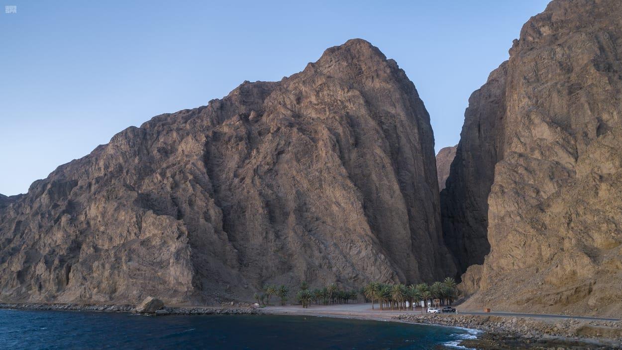 IBSM وادي الينابيع المائية بمدينة تبوك