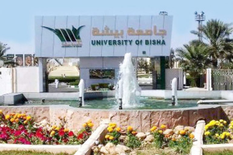 تخصصات جامعه بيشه