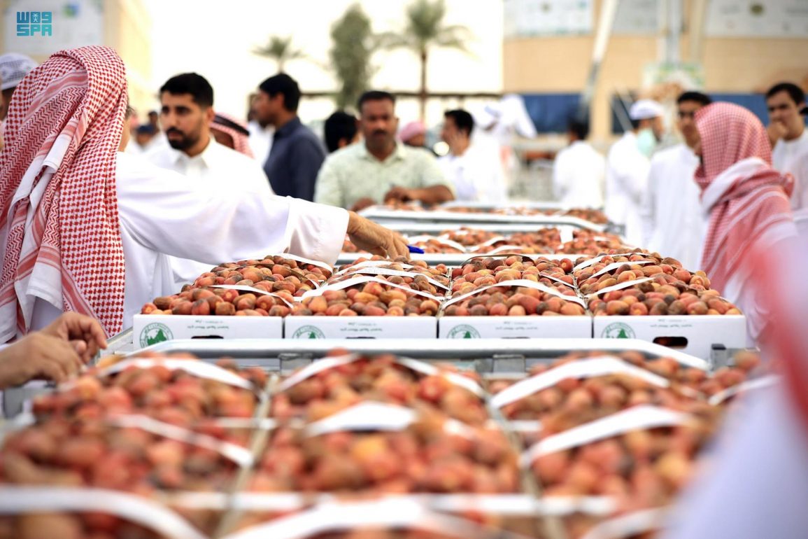 الصقعِي والمجّدُول يتصدران المبيعات بموسم عنيزة للتمور الصقعِي والمجّدُول يتصدران المبيعات بموسم عنيزة للتمور