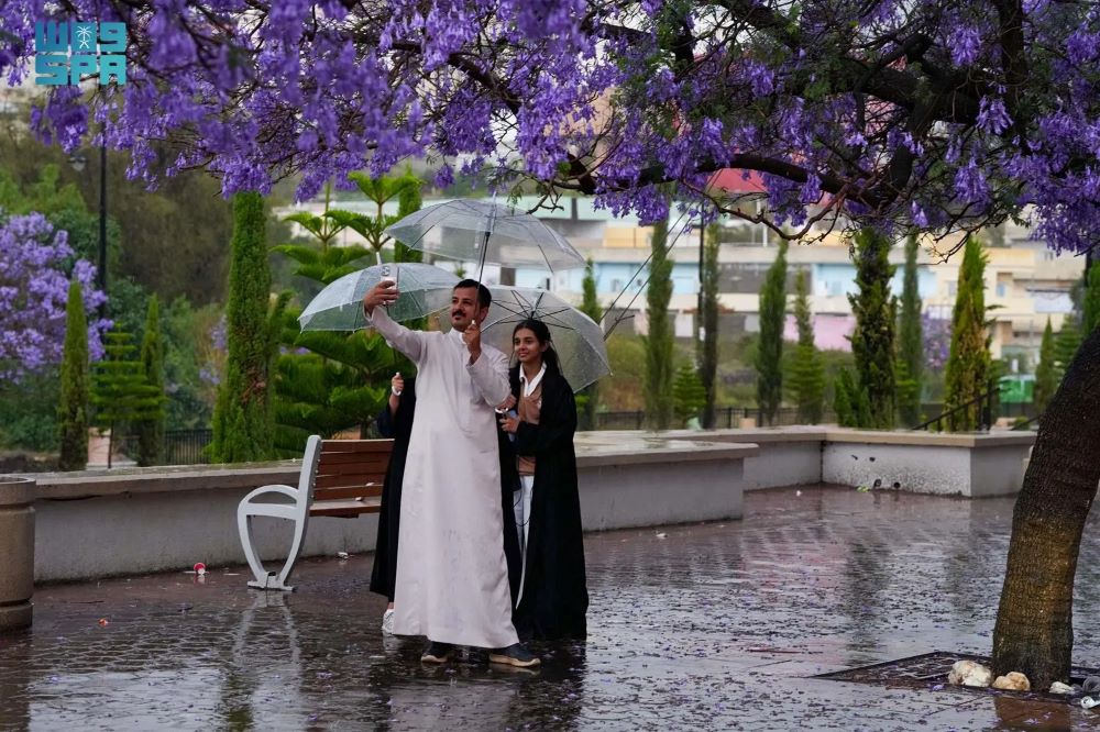 أبها تزهو جمالًا مع هطول الأمطار وتساقط أزهار “الجاكرندا”